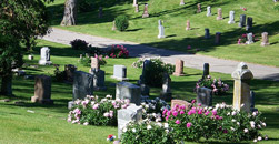 Alta Cemetery District